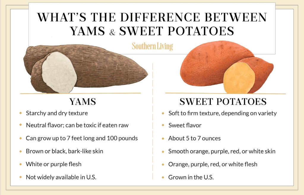 What's the difference between yams and sweet potatoes