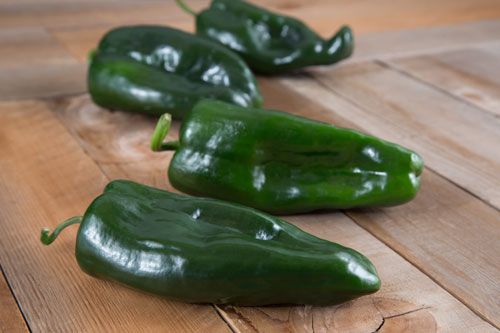 How spicy are pasilla peppers