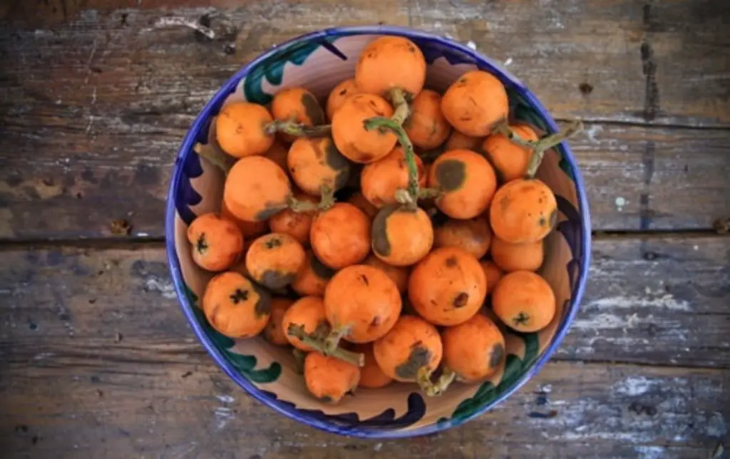 What is the Spanish small orange fruit