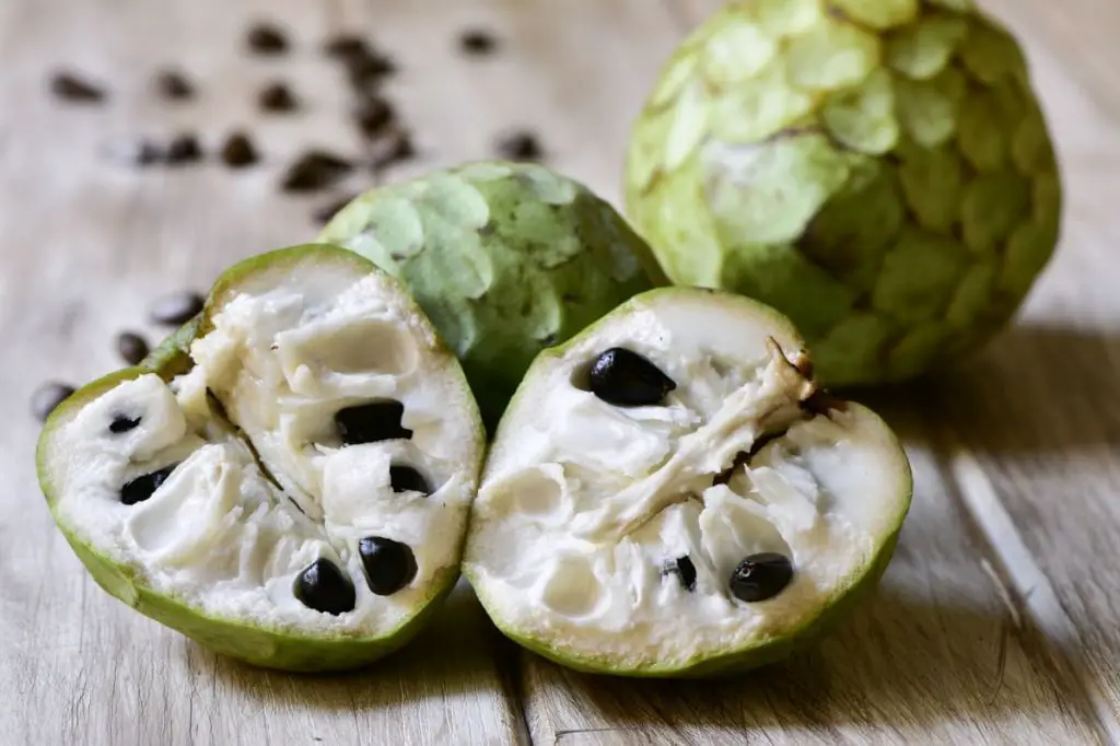 What are the side effects of cherimoya
