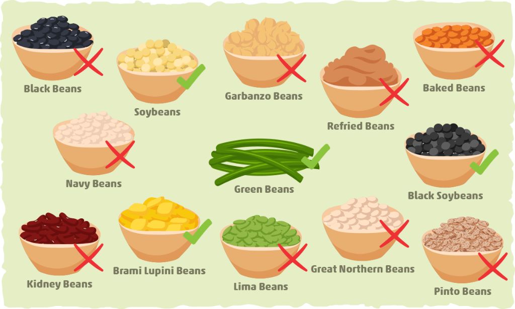What beans are allowed on keto
