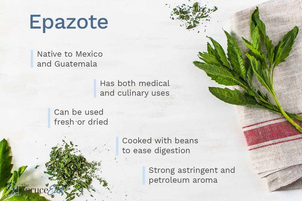 What plants are used for medicine in Mexico
