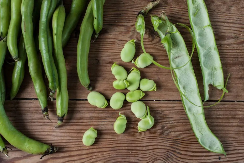What is the best way to cook broad beans