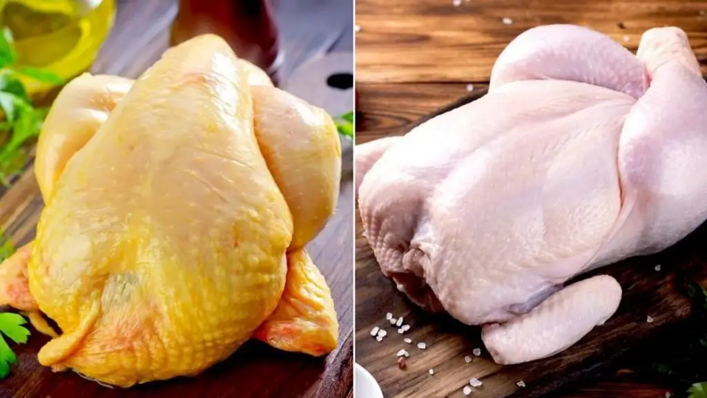 Does yellow chicken taste different