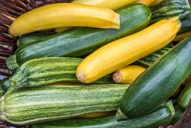 What's the difference between Mexican squash and zucchini