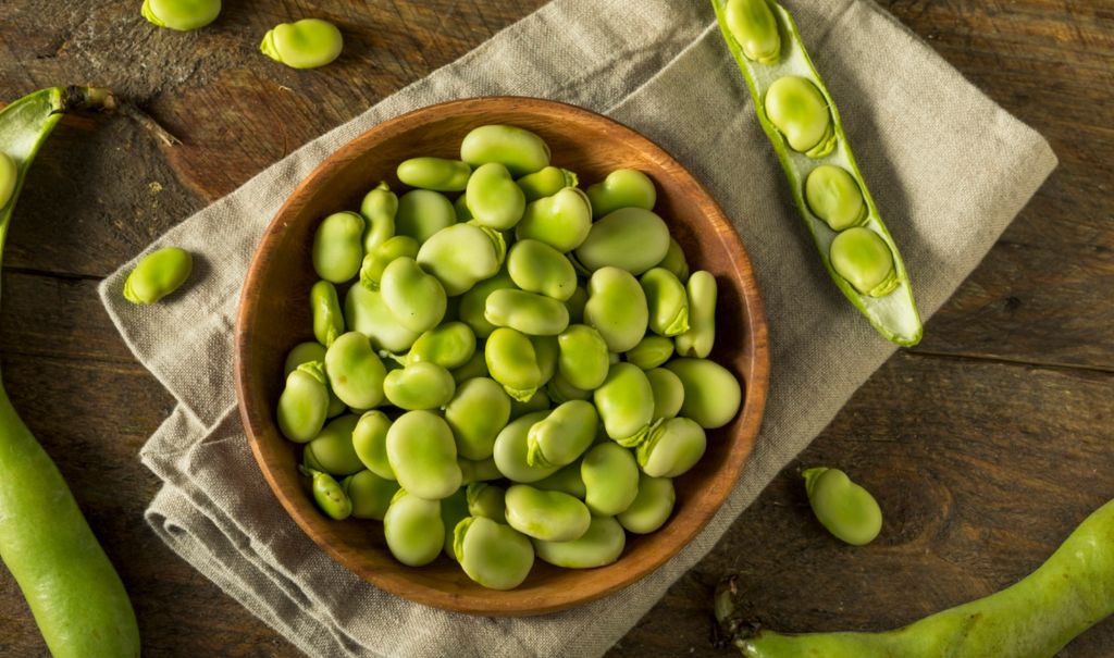 Where do fava beans originate from