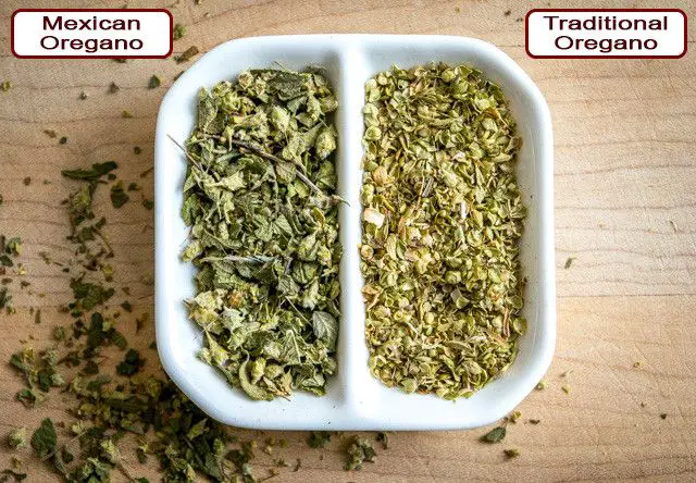 What spices are in Mexican oregano